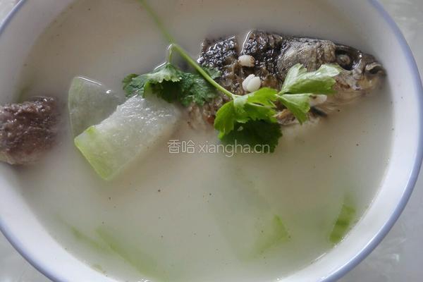 冬瓜薏仁鲫鱼汤的做法图解6