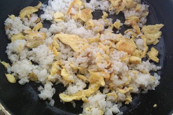 番茄蛋炒饭的做法图解6