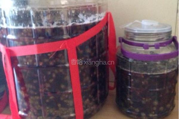 自制葡萄🍇酒🍷的做法图解3