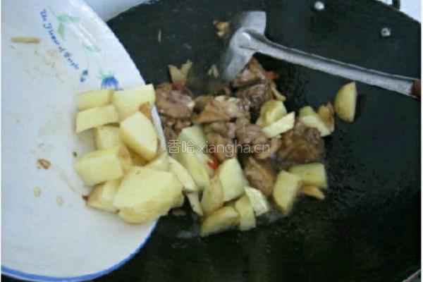 土豆焖鸡肉的做法图解9