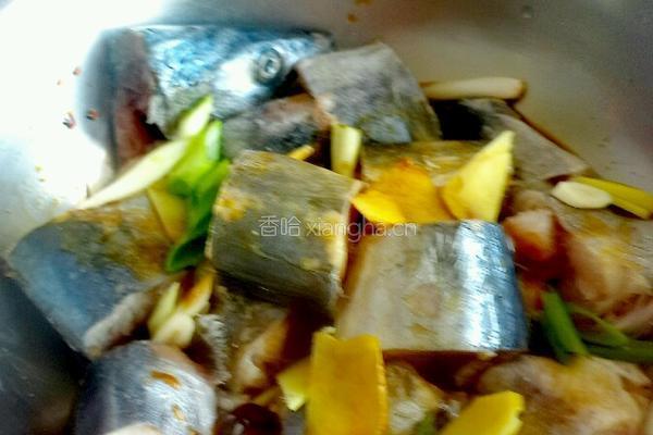 香煎鲅鱼的做法图解4