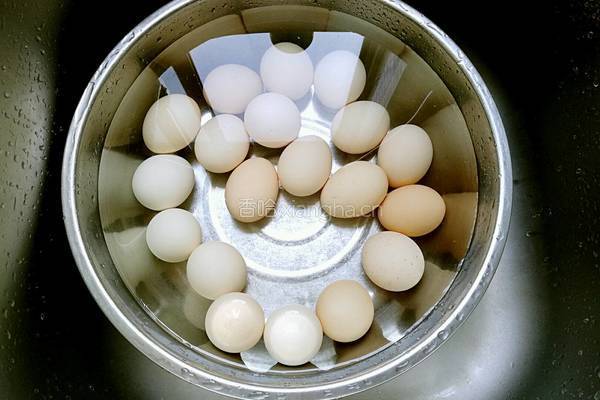 自制咸鸭蛋的做法图解1
