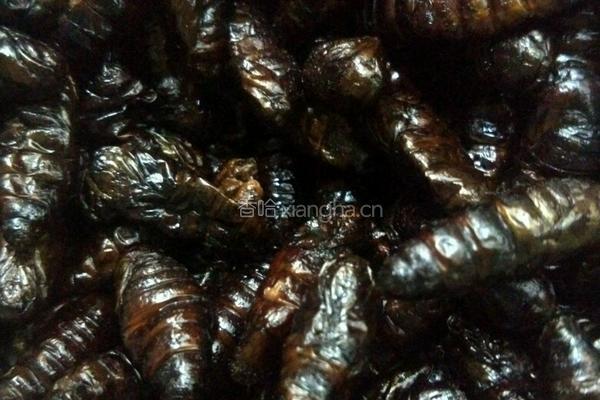 蚕蛹炒韭菜的做法图解1