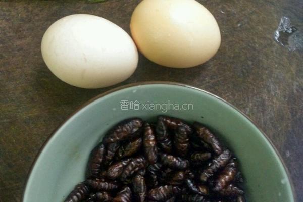 蚕蛹炒韭菜的做法图解2