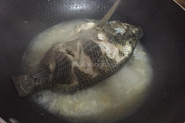 清炖罗非鱼的做法图解6