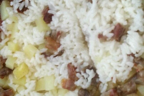 土豆腊肠焖饭的做法图解7