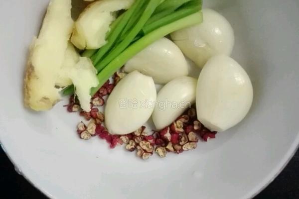 清炖白萝卜牛腩汤的做法图解4