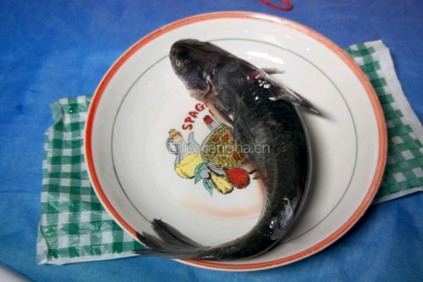 鲶鱼烧茄子的做法图解1
