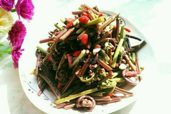 凉拌蕨菜的做法图解10