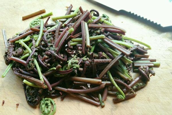 凉拌蕨菜的做法图解5