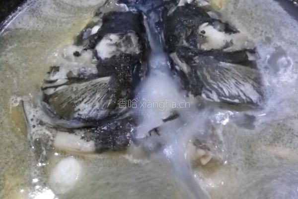 玉米鱼头豆腐汤的做法图解4