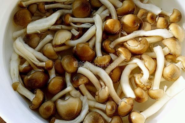 蚝油莴笋炒鸡腿菇的做法图解2