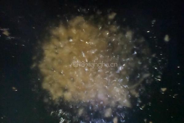 清炒洋葱的做法图解4