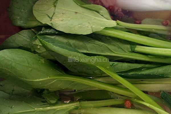 小白菜炖排骨的做法图解6