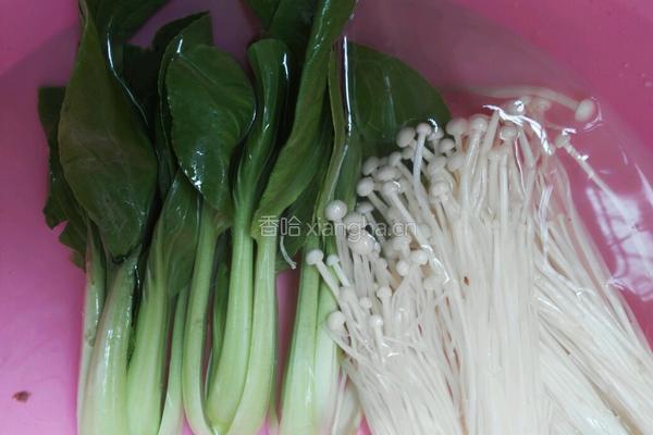 虾米菌菇汤的做法图解2
