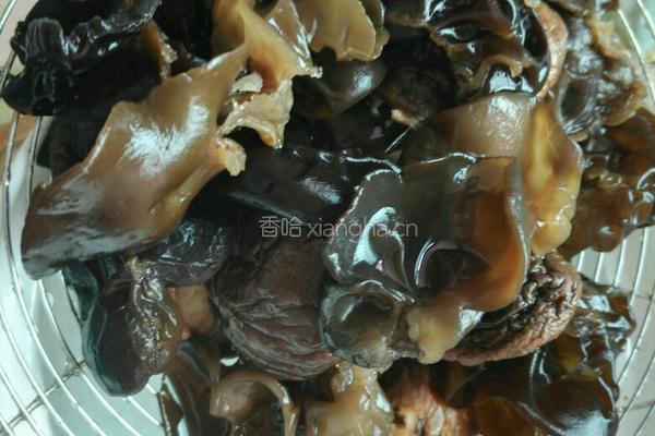 虾米菌菇汤的做法图解4