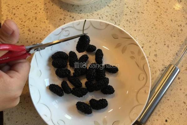 桑葚膏的做法图解2