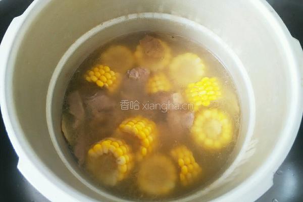 玉米炖排骨的做法图解8