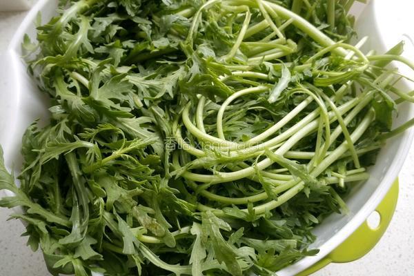 蔬菜丸子的做法图解1