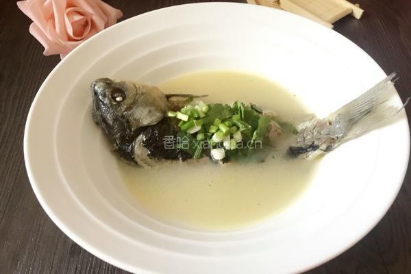 炖鲫鱼汤的做法图解5