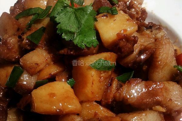 土豆胡萝卜红烧肉的做法图解8