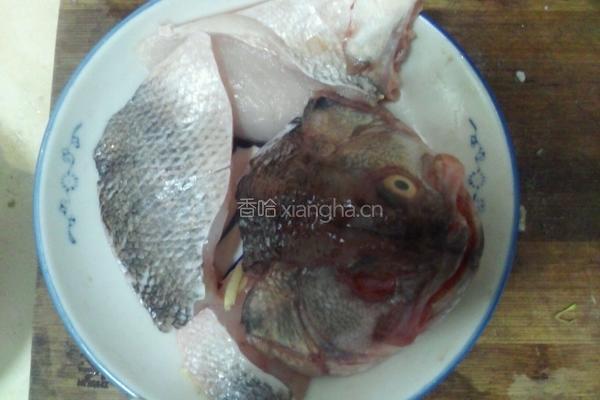清蒸鲈鱼片的做法图解4