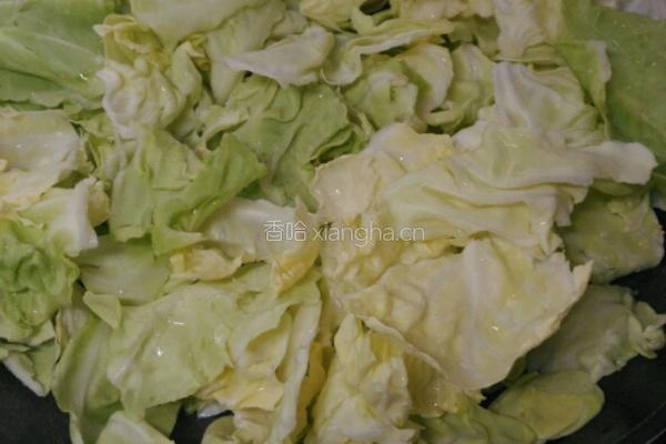 素炒洋白菜的做法图解4