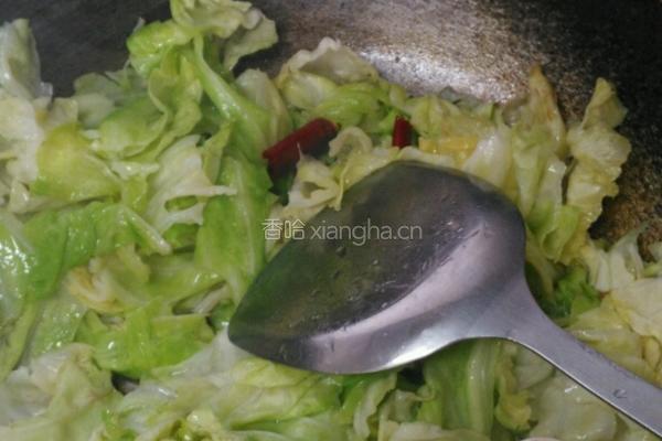 素炒洋白菜的做法图解7