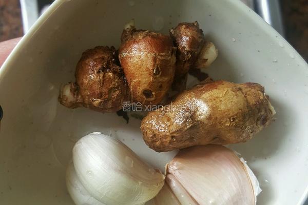 电饭煲沙姜焗鸡的做法图解2