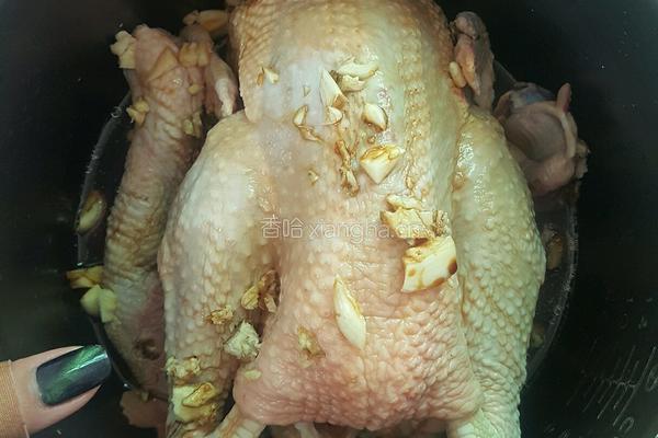 电饭煲沙姜焗鸡的做法图解5