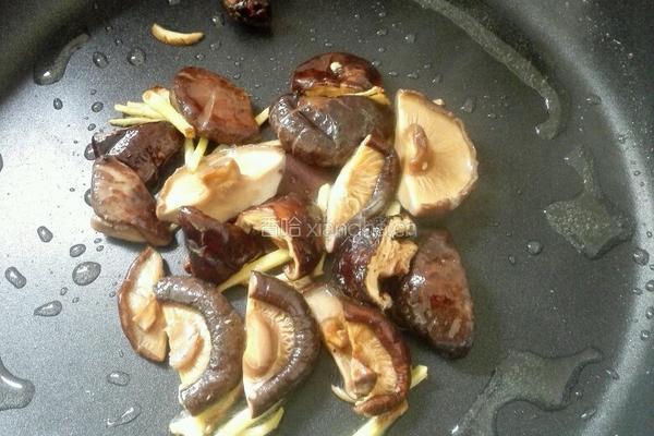 鸡肉炖蘑菇的做法图解4