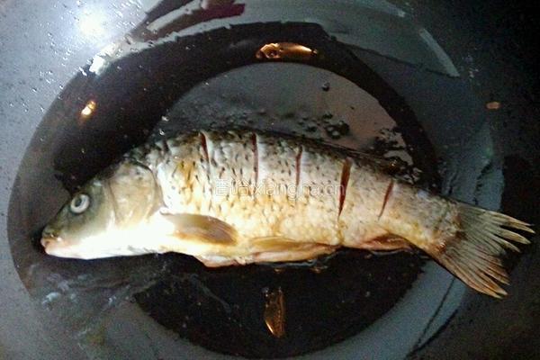 鲤鱼炖豆腐的做法图解4