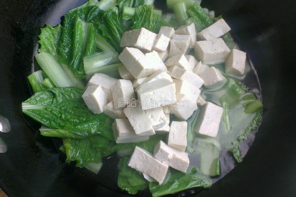 小白菜炖豆腐的做法图解4