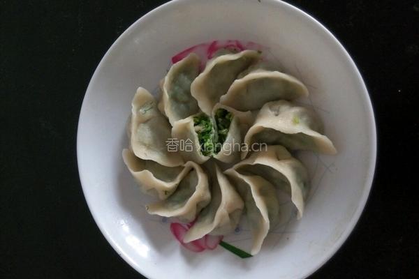 茴香饺子的做法图解9