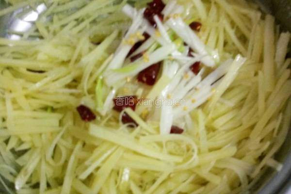 炝拌土豆丝的做法图解8