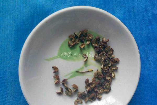 玉米莲藕排骨汤的做法图解5