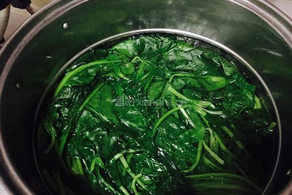 炝菠菜的做法图解1