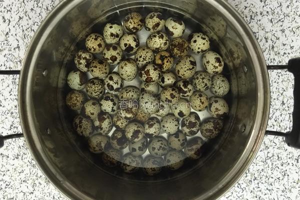 卤五香鹌鹑蛋的做法图解2