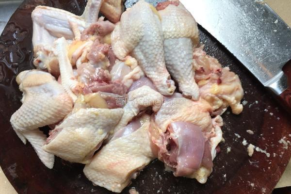 清炖蘑菇土鸡的做法图解4