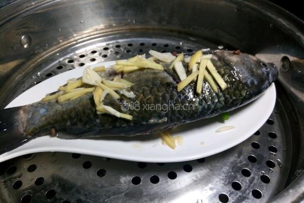凉拌鲫鱼的做法图解8