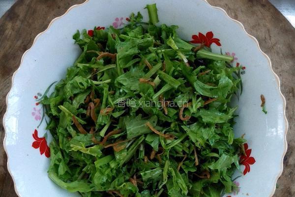 丁香鱼拌苦菊的做法图解5