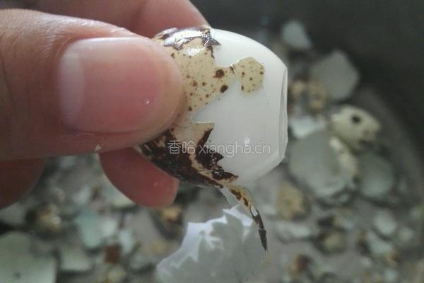 小菜凉拌蒜泥鸡蛋的做法图解3