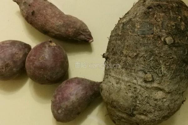 快乐自制小芋圆的做法图解1