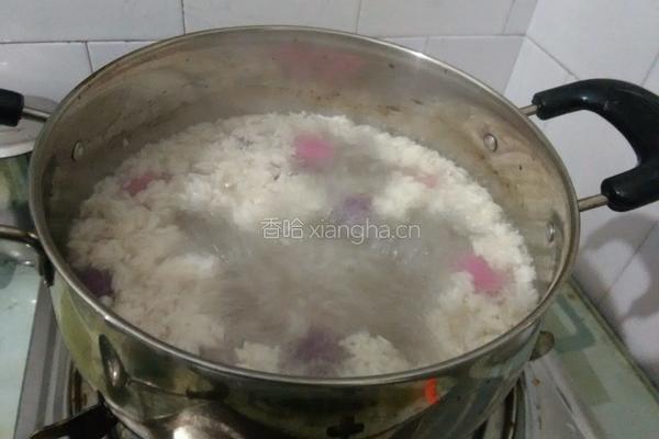 甜酒彩色小汤圆的做法图解14