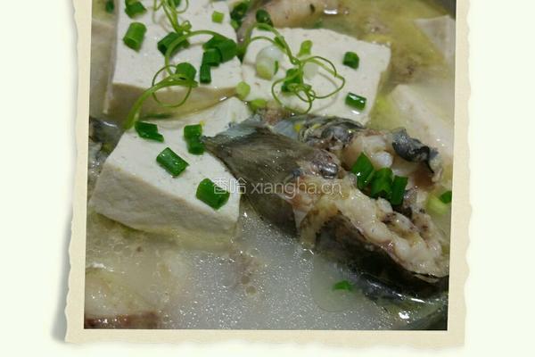 鱼炖豆腐的做法图解15