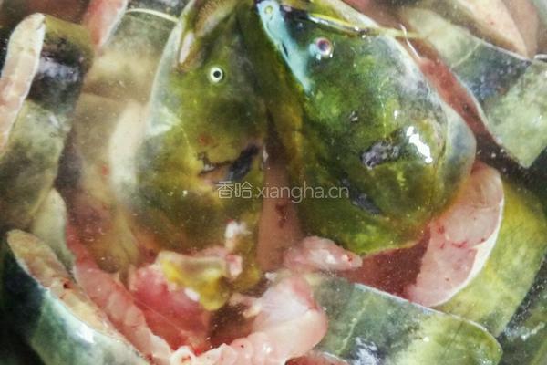 鲶鱼炖豆腐的做法图解1