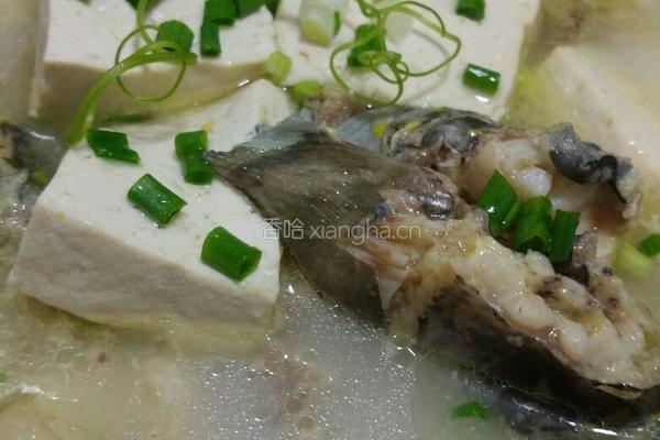 鱼炖豆腐的做法图解13