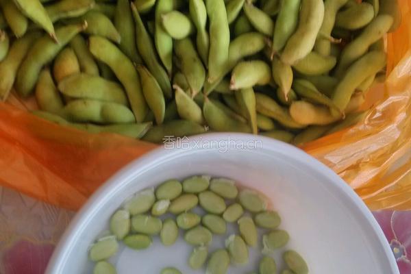辣椒毛豆的做法图解1