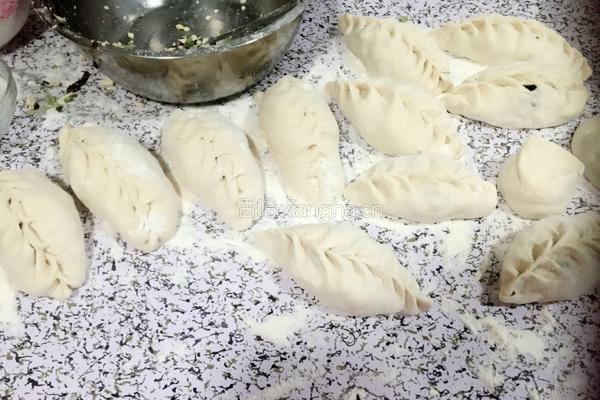 家常豆腐包子的做法图解17