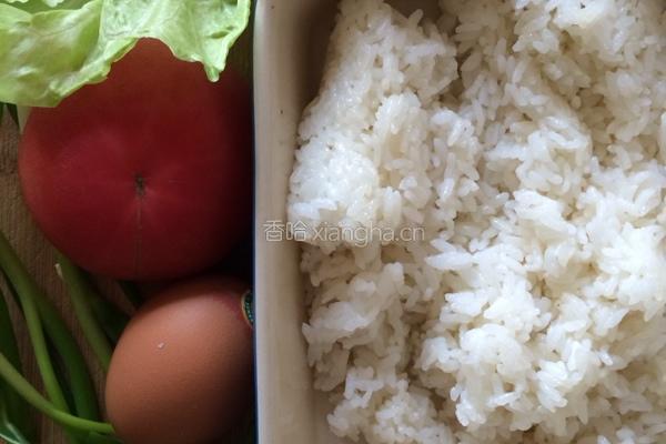 番茄炒饭的做法图解1